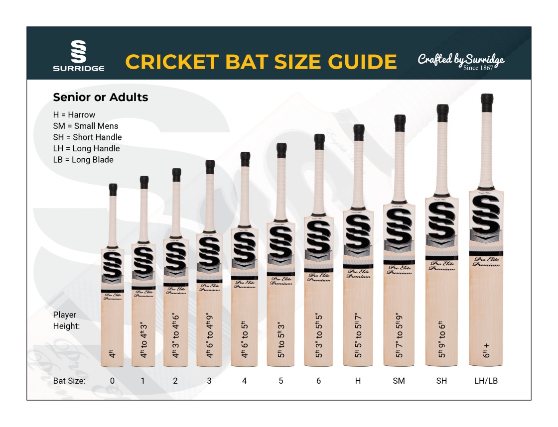 GRADE 1 CURVE ENGLISH WILLOW CRICKET BATS - Size Guide