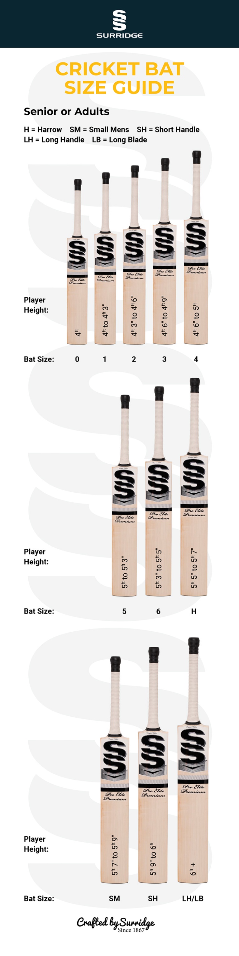 GRADE 1 CURVE ENGLISH WILLOW CRICKET BATS - Size Guide